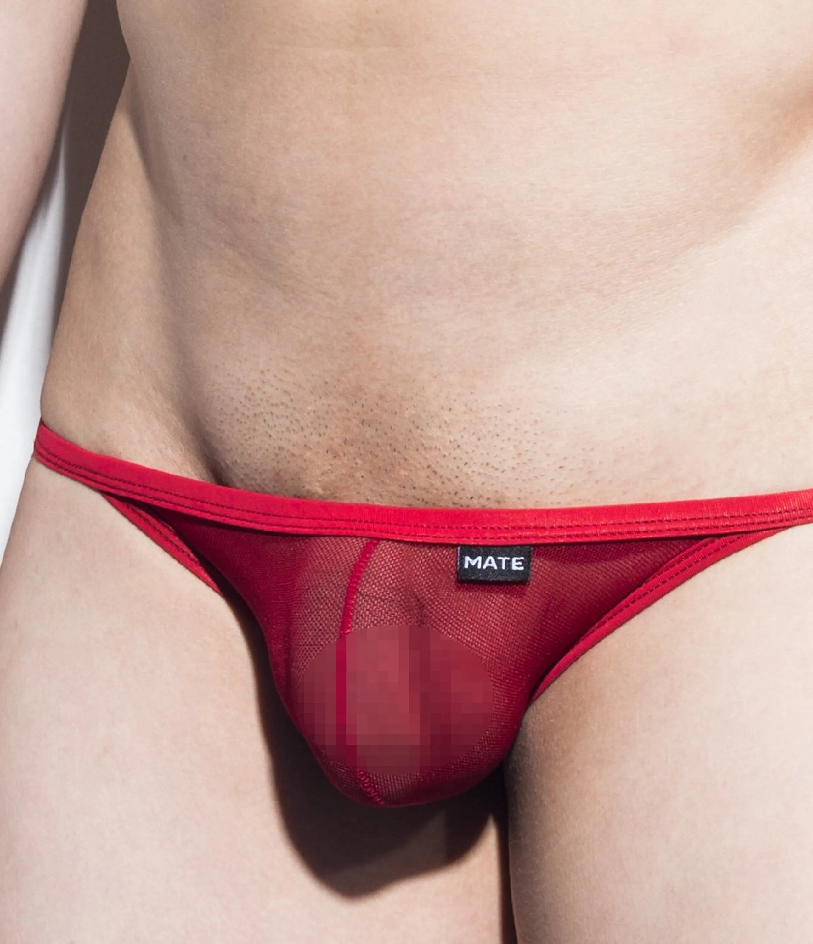 2pc/Pack Sexy Men's Underwear Signature Mini Jock - Hwan Ha (Mesh Series)