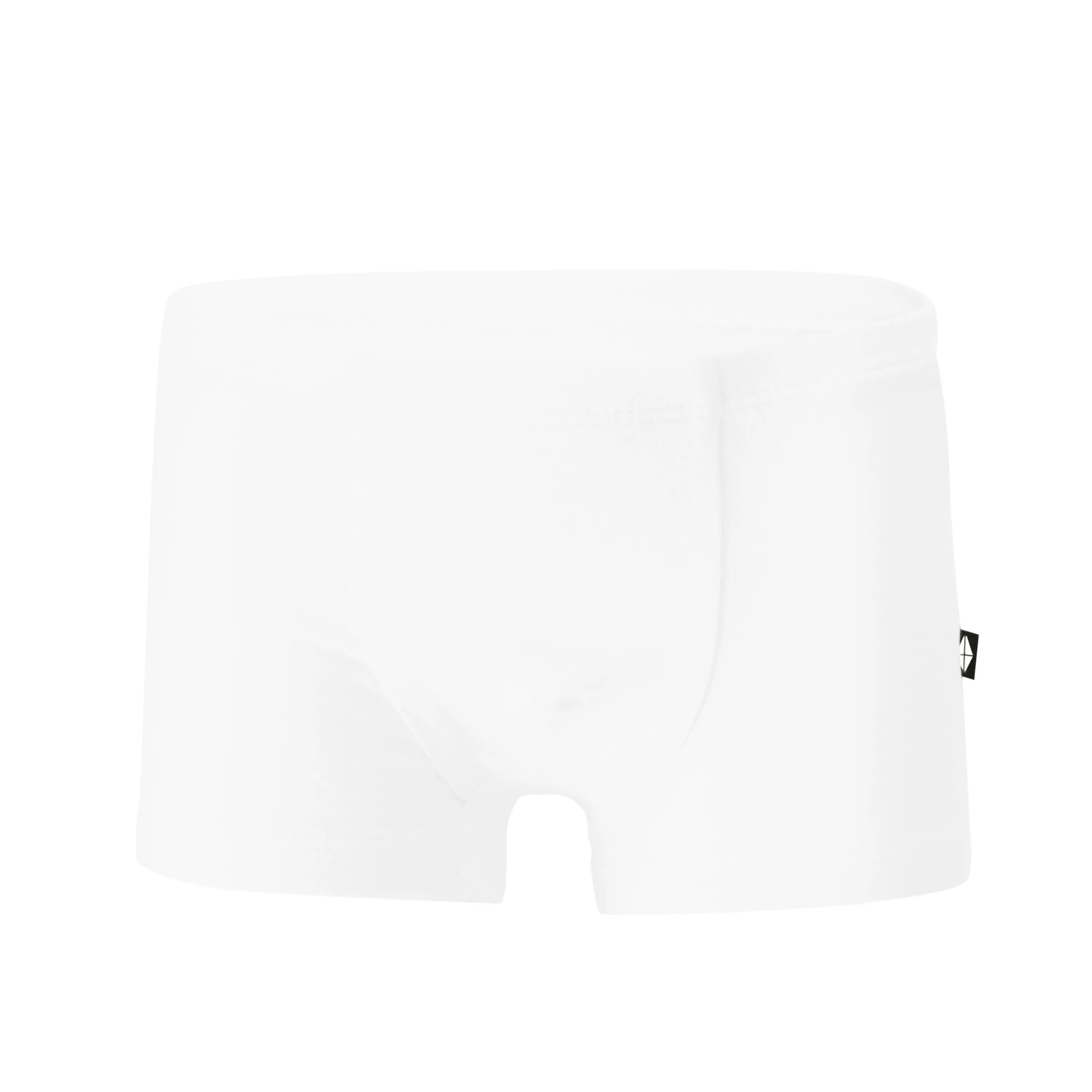 Briefs in Cloud
