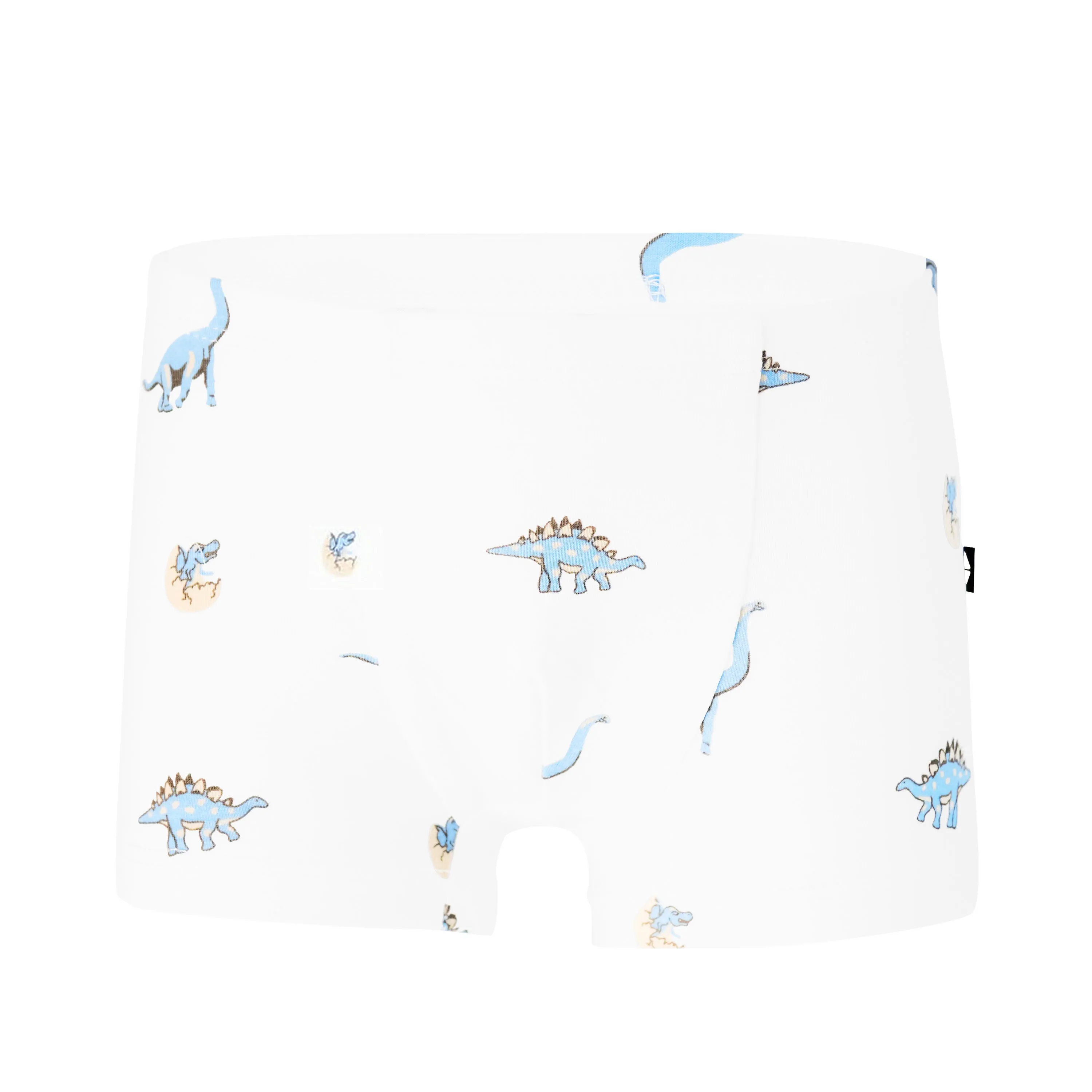Briefs in Jurassic