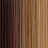 Fashion Note by Forever Young | Long Layered Wig